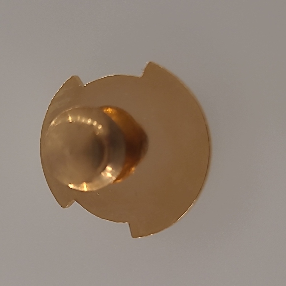 US Department of Homeland Security Pin - Picture 2 of 3